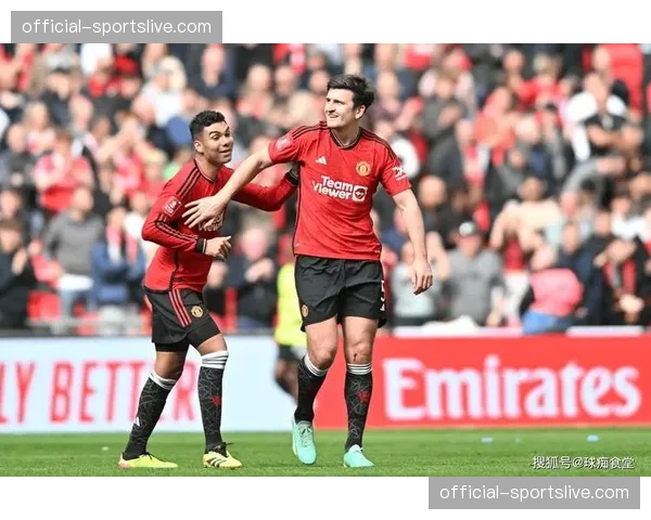 VAR关键判罚分析：谢菲联进球被吹引主帅暴怒